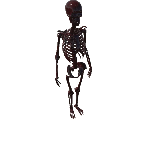 Full Skeleton Gib Version 6